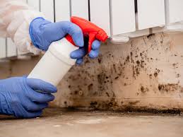 Best Asbestos and Lead Testing During Mold Inspection  in Mccla, AL